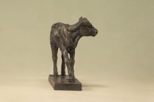 Shorthorn Calf Statue