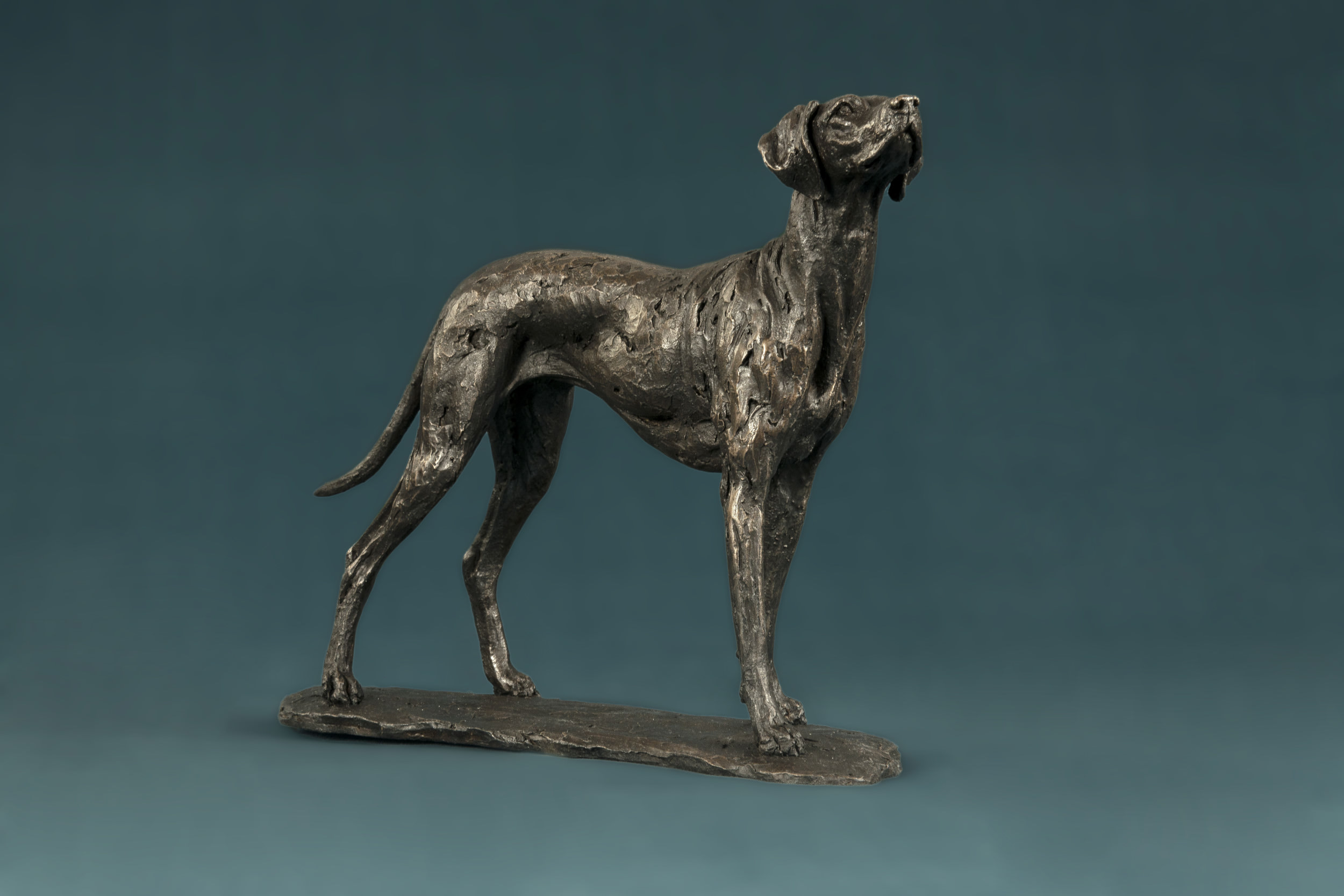 Bronze Vizsla Sculpture Bronze Vizsla Statue Bronze Vizsla Ornament