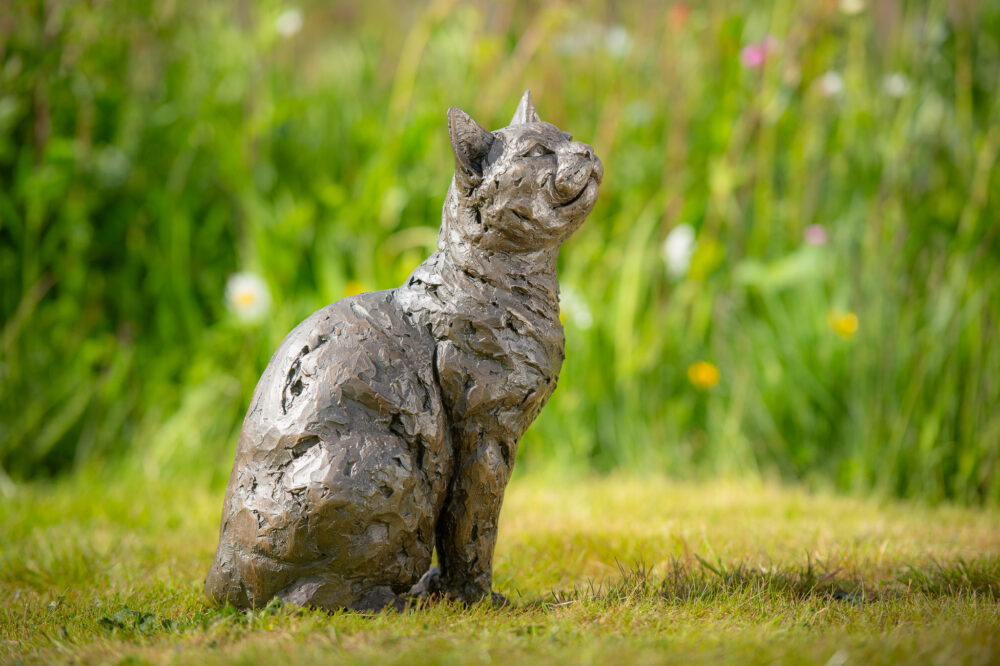 4 'Sitting Cat', Cat Sculpture, Cat Statue, Bronze Resin, Tanya Russell Animal Sculptures (9 of 10)