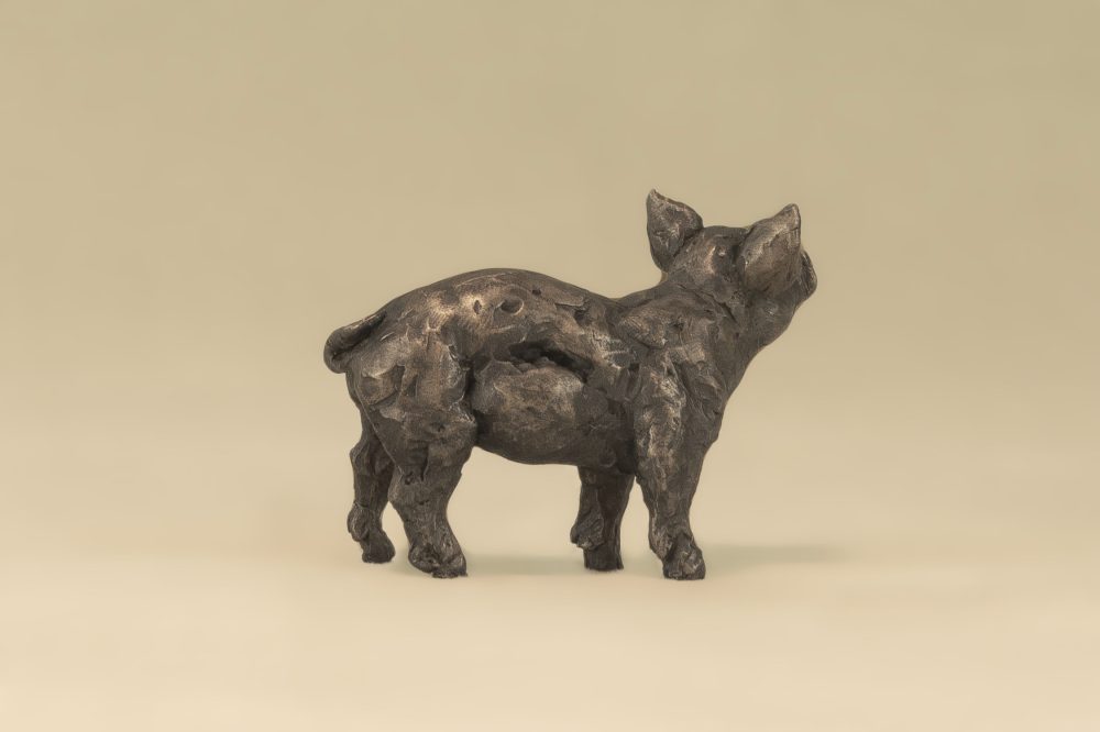 Little bronze piglet