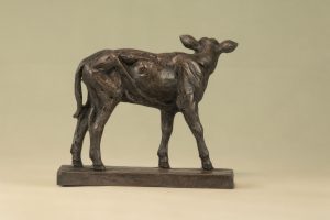 Shorthorn Calf Bronze Statue