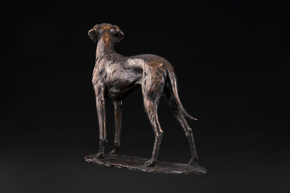 vizsla dog sculpture video