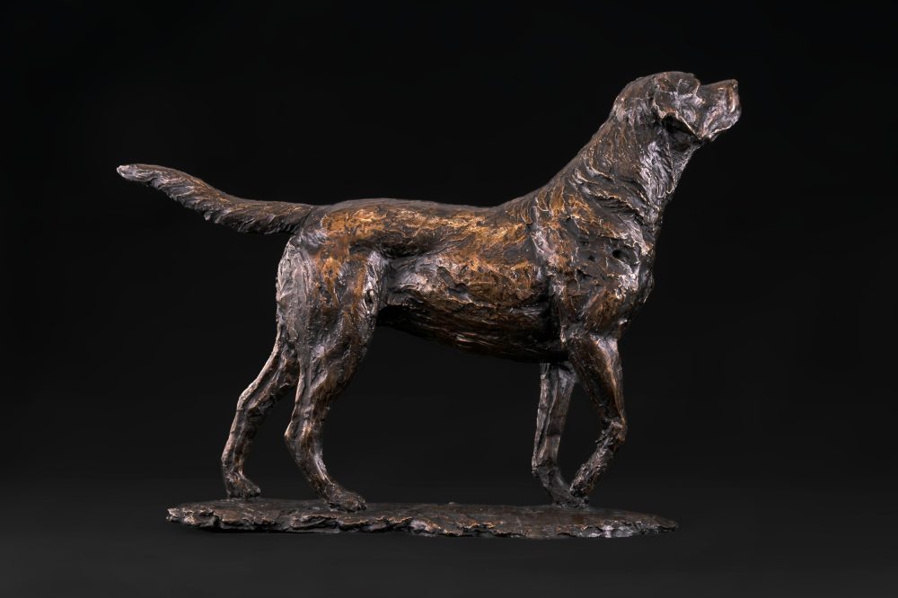 bronze standing labrador ornament