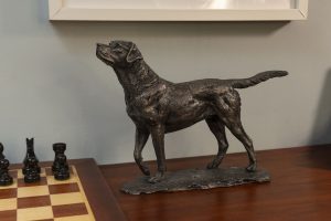bronze standing labrador