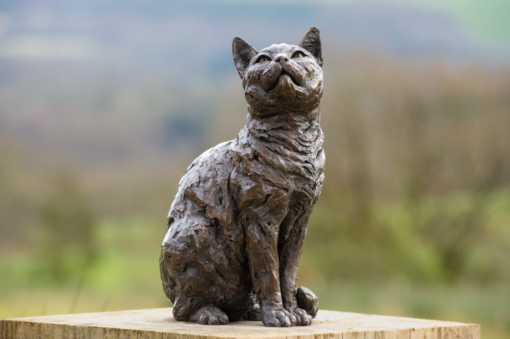 9 'Sitting Cat', Cat Sculpture, Cat Statue, Bronze Resin, Tanya Russell Animal Sculptures (1 of 9)