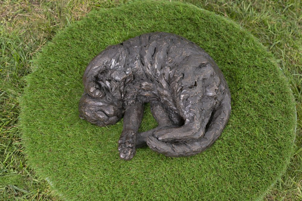 curled cat statue bronze resin