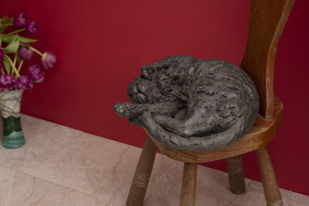 bronze cat statue indoors