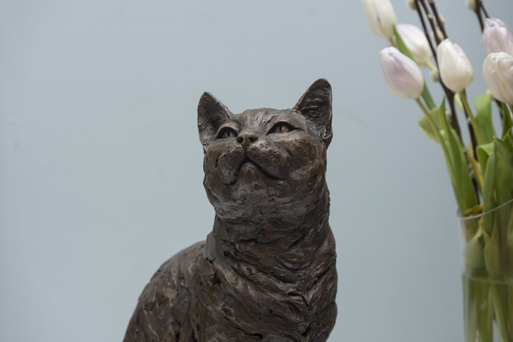 Close Up Cat Sculpture