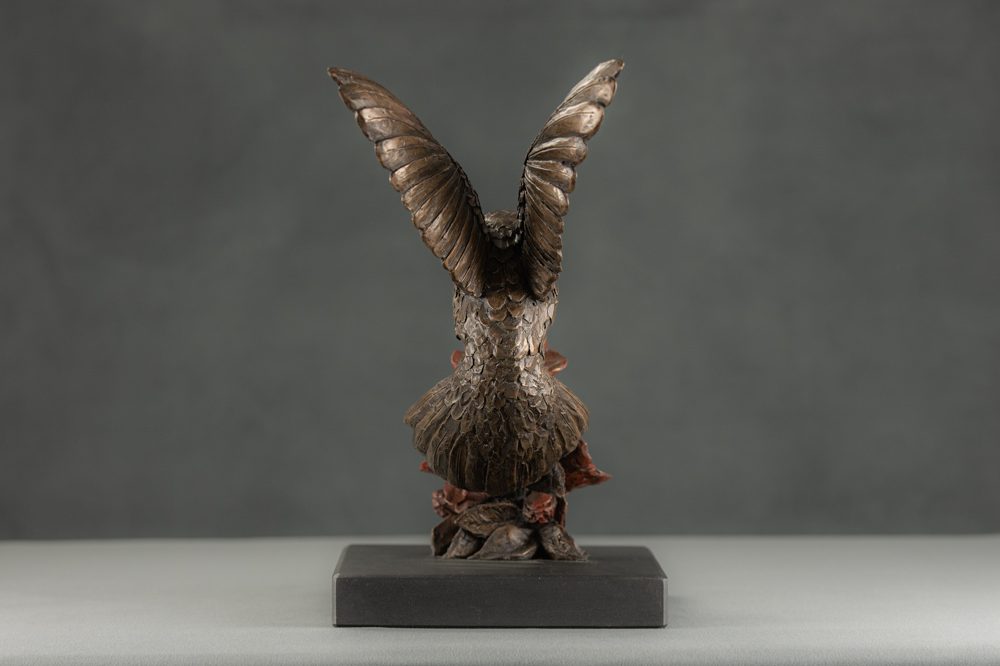 7 'Hummingbird', Bronze Hummingbird, Hummingbird Sculpture, Hummingbird Statue, Bronze Resin Tanya Russell Animal Sculptures-6