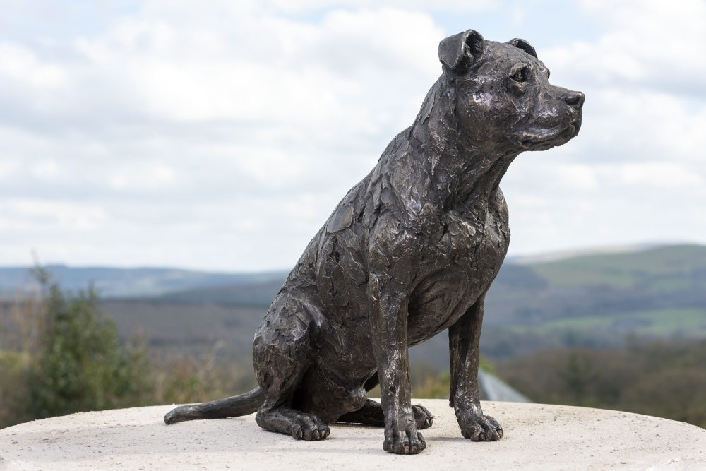 American staffordshire bull terrier sculpture