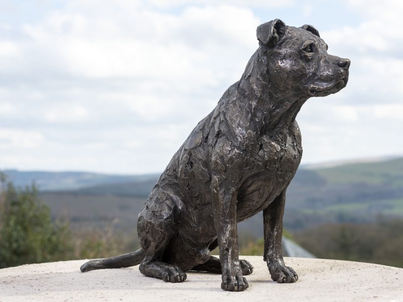 American staffordshire bull terrier sculpture