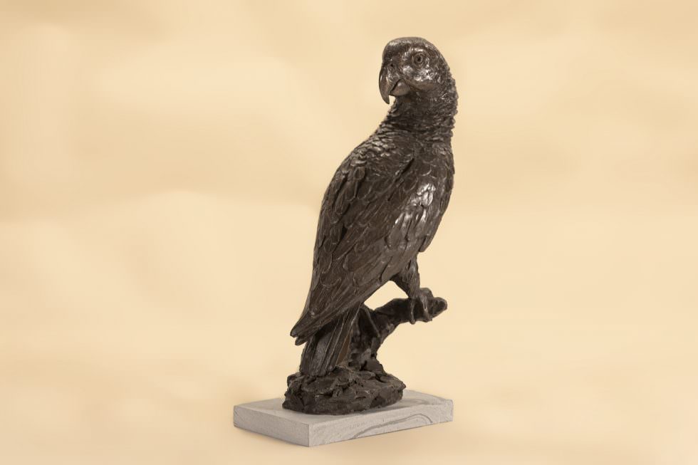 Bronze Parrot Sculpture Bronze Parrot Statue Bronze Parrot Ornament