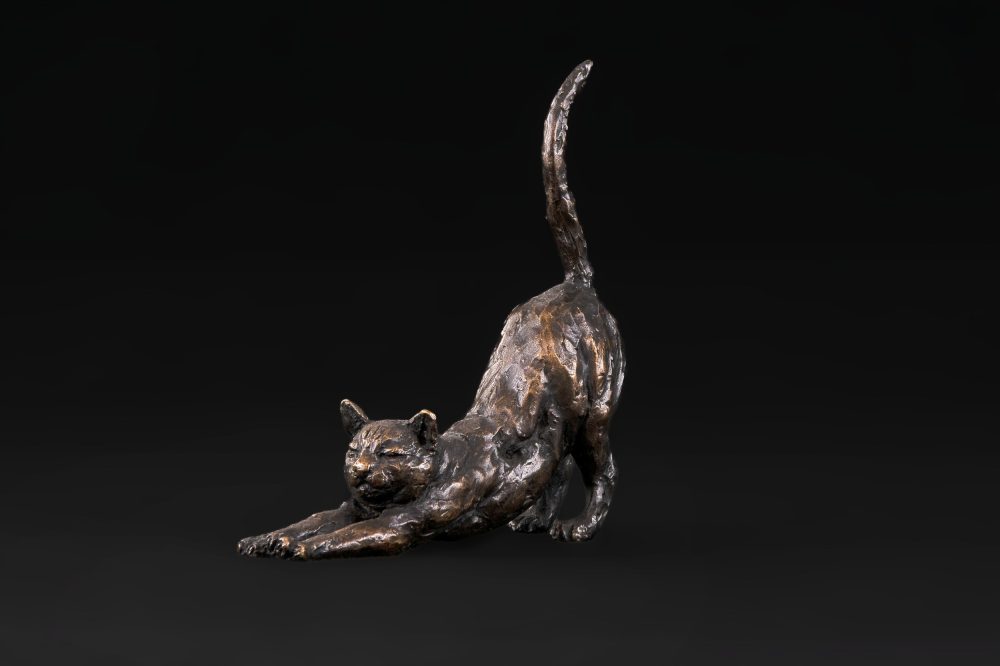 stretching cat side