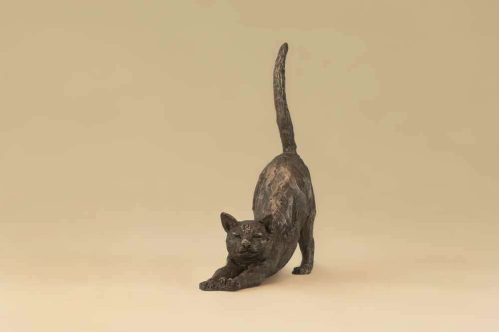 small stretching cat art