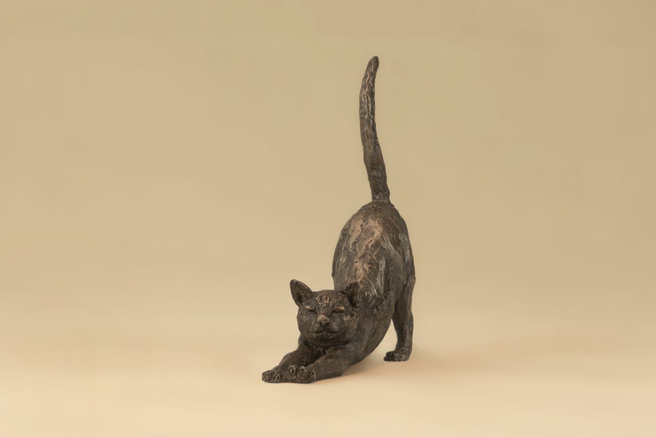 Bronze Stretching Cat sculpture by sculptor Tanya Russell, MRBS