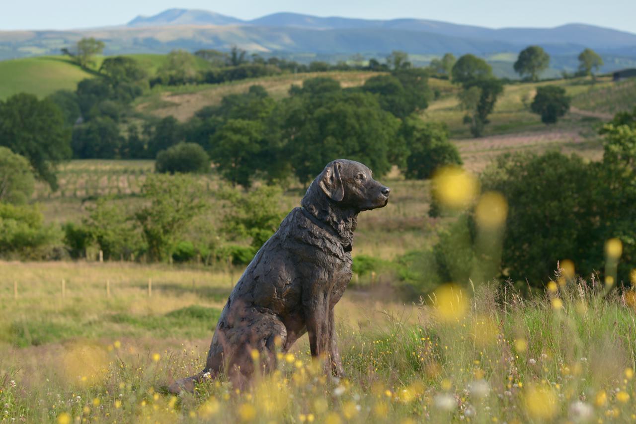 life size labrador statue