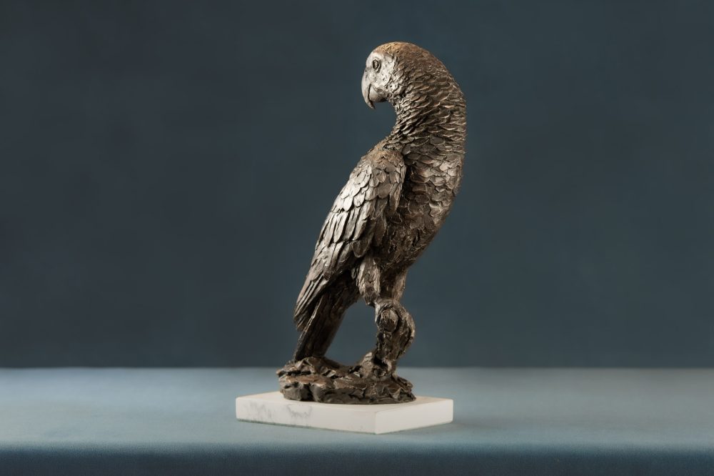 5 BRONZE RESIN 'Parrot' Bronze Parrot, Parrot Sculpture, Parrot Statue, Bronze Resin Tanya Russell Animal Sculptures (2 of 13)
