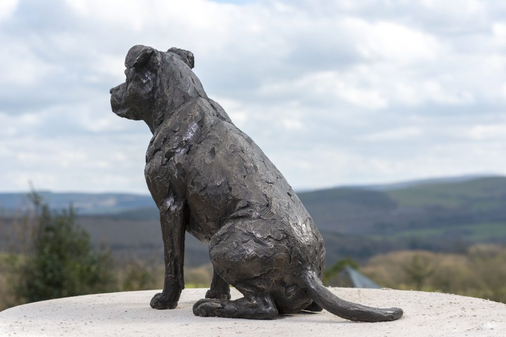 bronze American staffordshire bull terrier sculpture