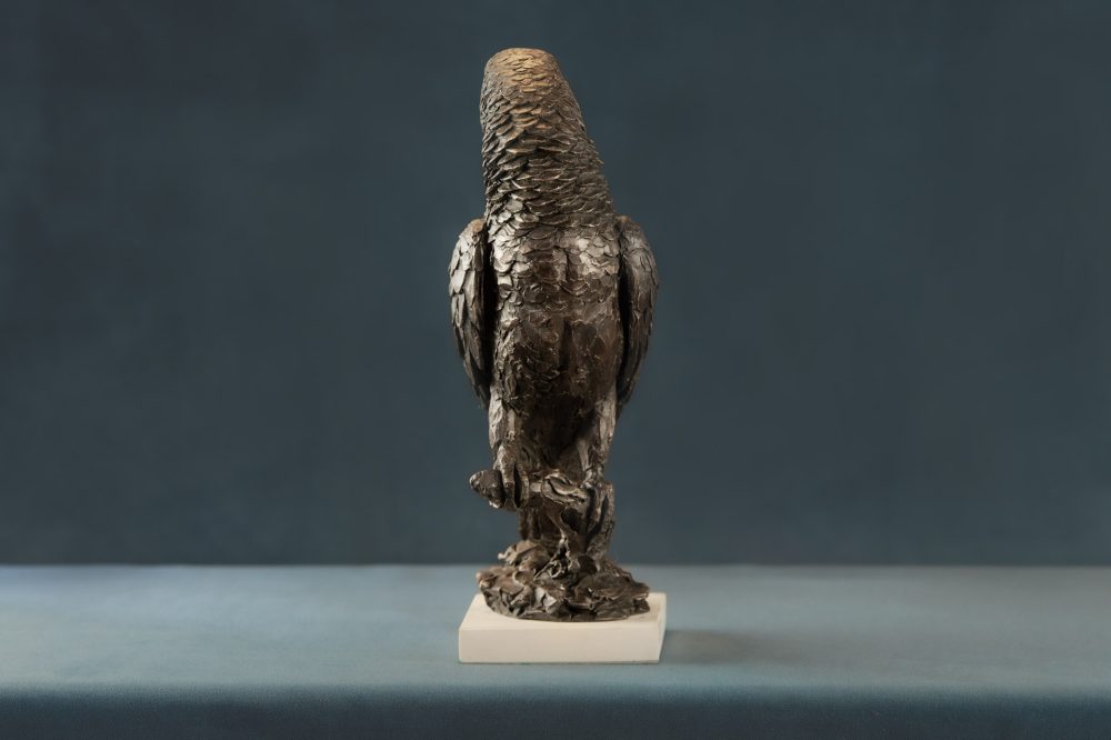 6 BRONZE RESIN 'Parrot' Bronze Parrot, Parrot Sculpture, Parrot Statue, Bronze Resin Tanya Russell Animal Sculptures (3 of 13)