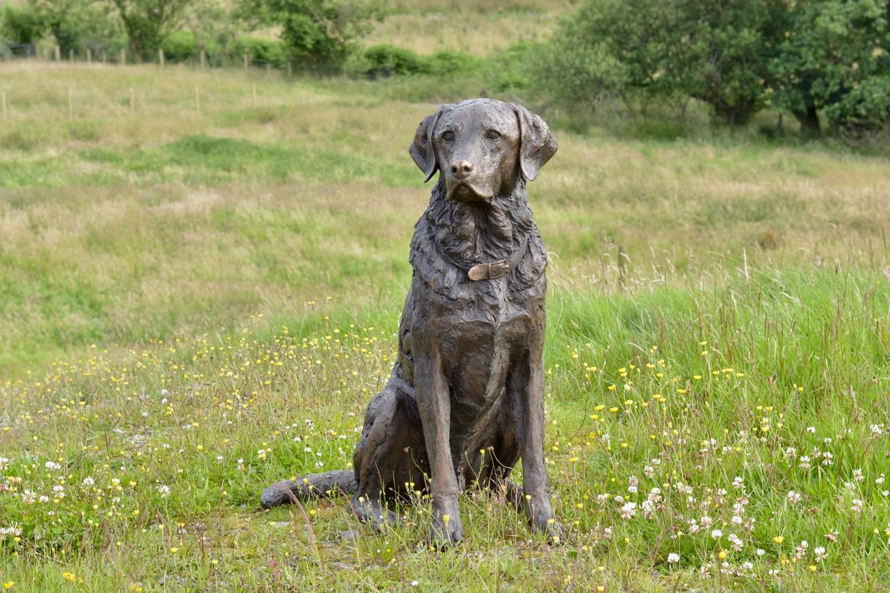 labrador statue outdoor