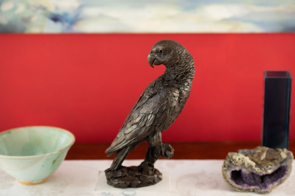 9 BRONZE RESIN 'Parrot' Bronze Parrot, Parrot Sculpture, Parrot Statue, Bronze Resin Tanya Russell Animal Sculptures (13 of 13)
