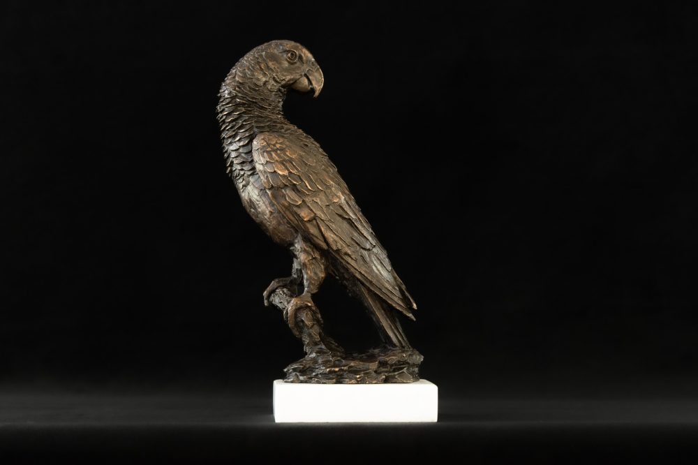 'Parrot' Bronze Parrot, Parrot Sculpture, Parrot Statue, Foundry Bronze, Tanya Russell Sculptures-1