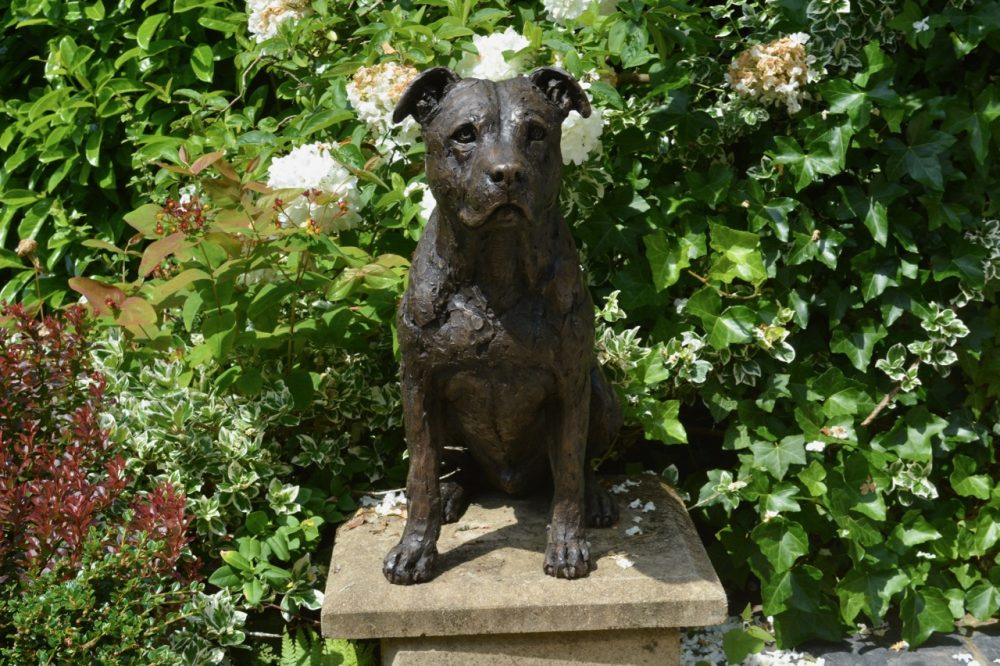 Sitting American Bull Terrier Sculpture. Bronze Dog Statue, Bronze resin dog sculpture.