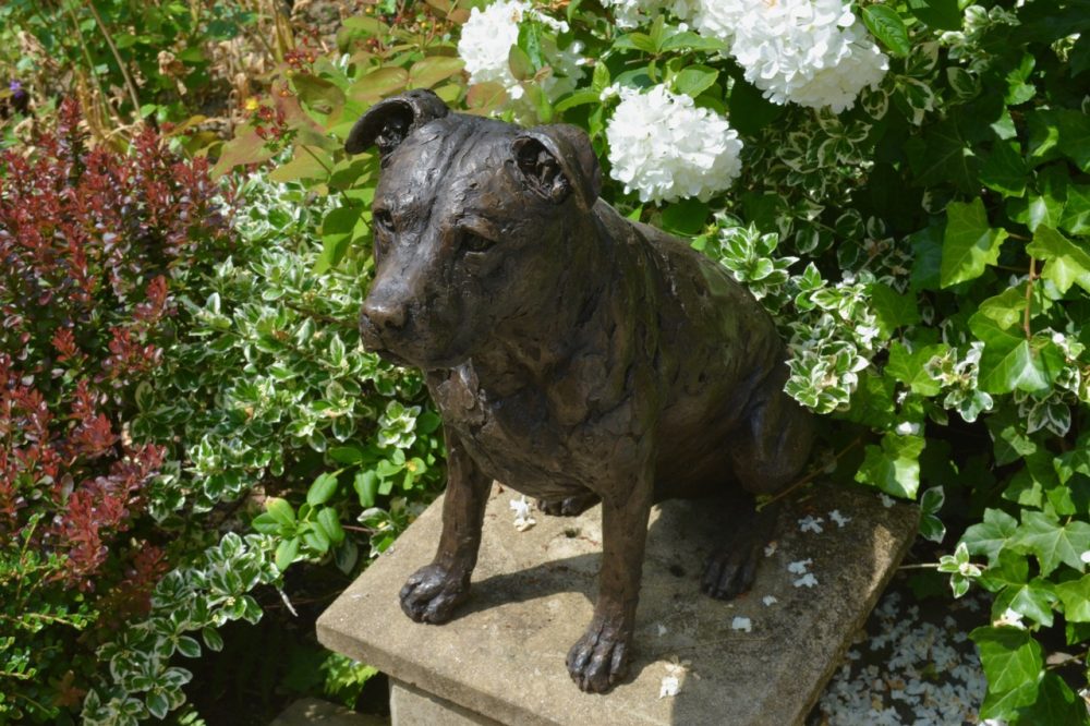 Sitting American Bull Terrier Sculpture. Bronze Dog Statue, Bronze resin dog sculpture.