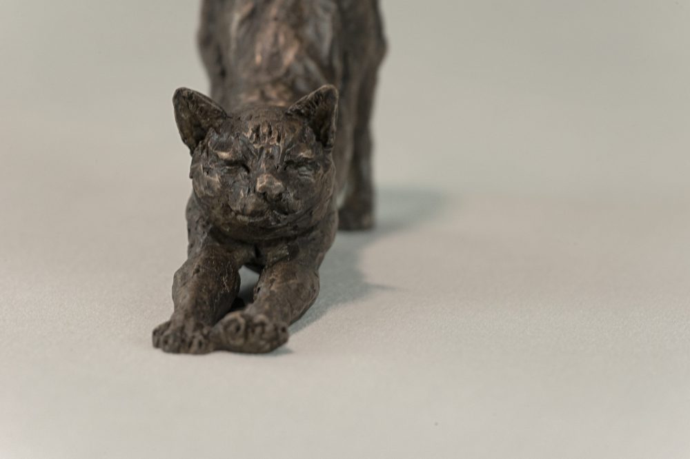 Tanya Russell-StretchingCat BR