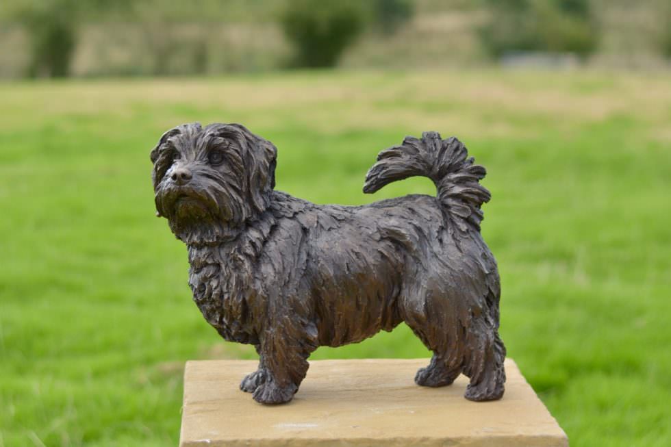Bronze Standing Norfolk Terrier sculpture by Tanya Russell