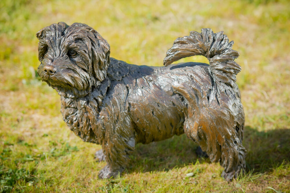 1 'Standing Norfolk Terrier', Dog Sculpture, Dog Statue, Bronze Resin, Tanya Russell Animal Sculptures (21 of 21)