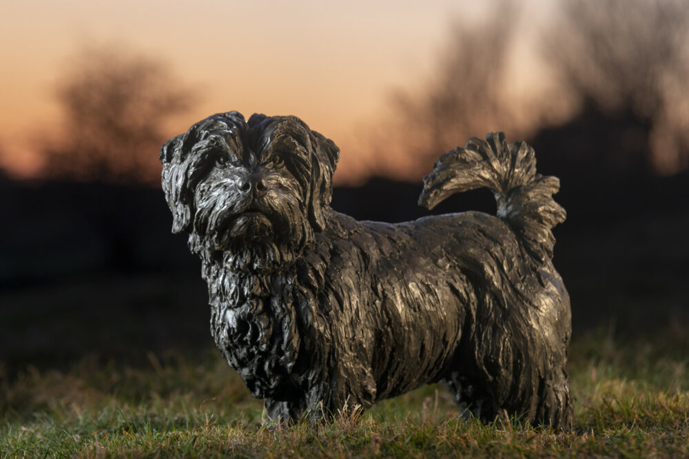 11 Tanya Russell animal sculptures -Bronze Norfolk Terrier Sculpture dog statue BR