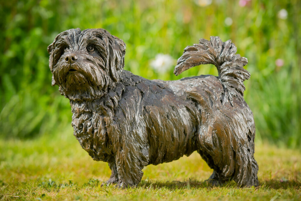 2 'Standing Norfolk Terrier', Dog Sculpture, Dog Statue, Bronze Resin, Tanya Russell Animal Sculptures (1 of 21)