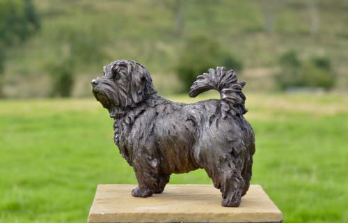 Bronze Standing Norfolk Terrier sculpture by Tanya Russell