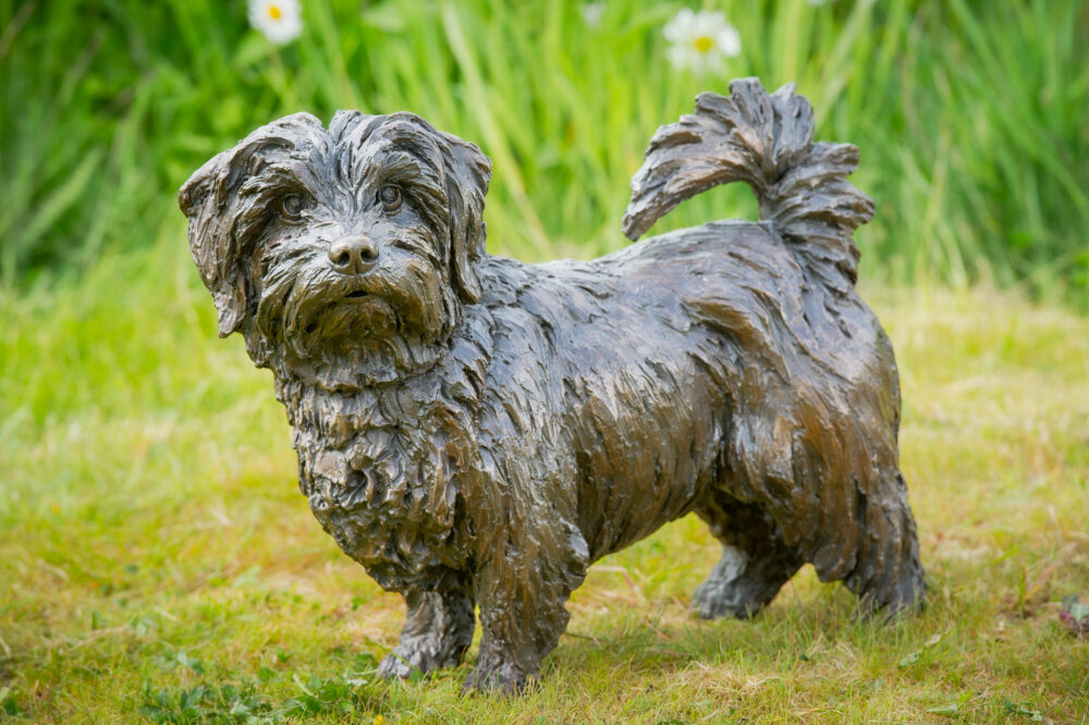 3 'Standing Norfolk Terrier', Dog Sculpture, Dog Statue, Bronze Resin, Tanya Russell Animal Sculptures (4 of 21)