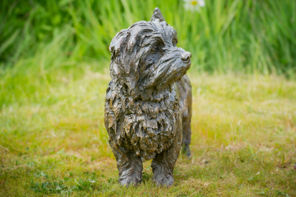 4 'Standing Norfolk Terrier', Dog Sculpture, Dog Statue, Bronze Resin, Tanya Russell Animal Sculptures (5 of 21)
