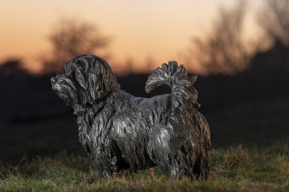 bronze norfolk terrier sculpture