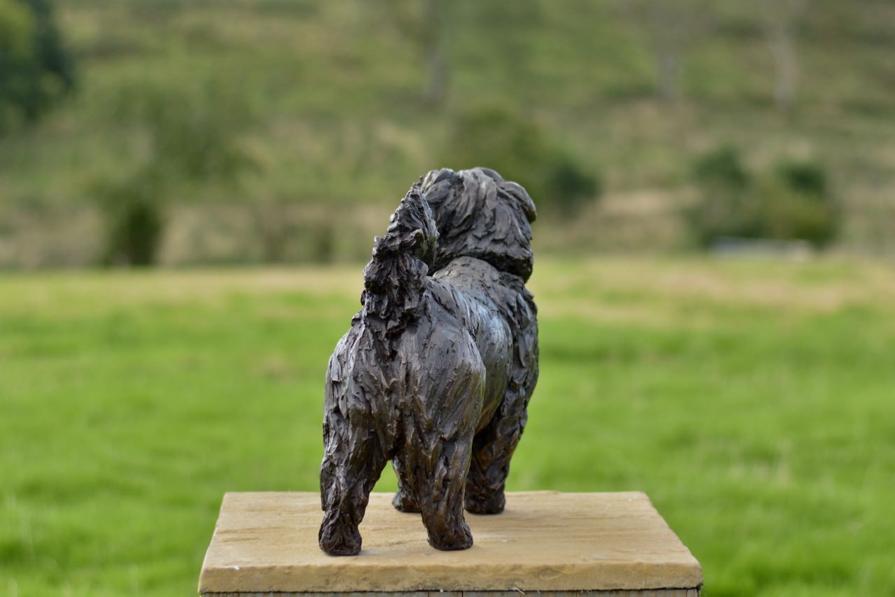 Bronze Standing Norfolk Terrier sculpture by Tanya Russell