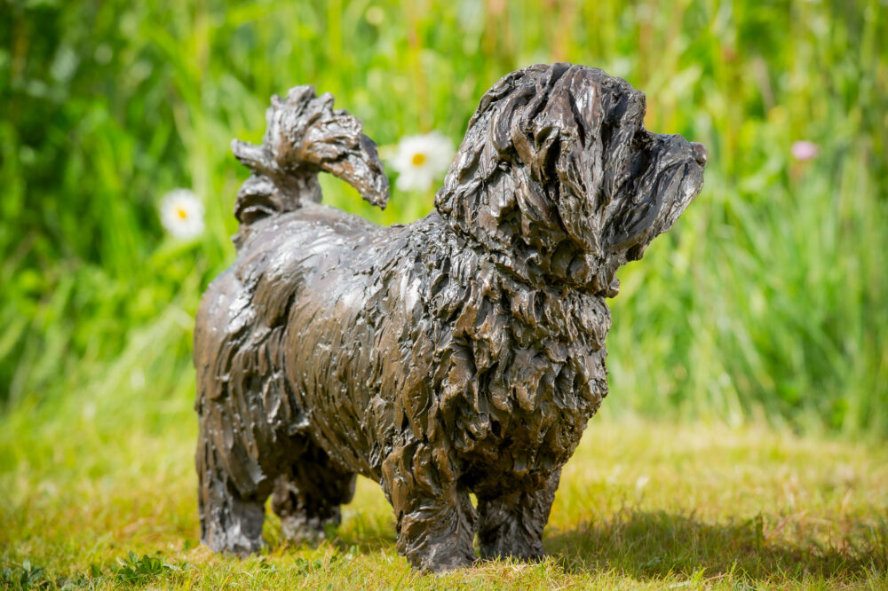 5 'Standing Norfolk Terrier', Dog Sculpture, Dog Statue, Bronze Resin, Tanya Russell Animal Sculptures (9 of 21)