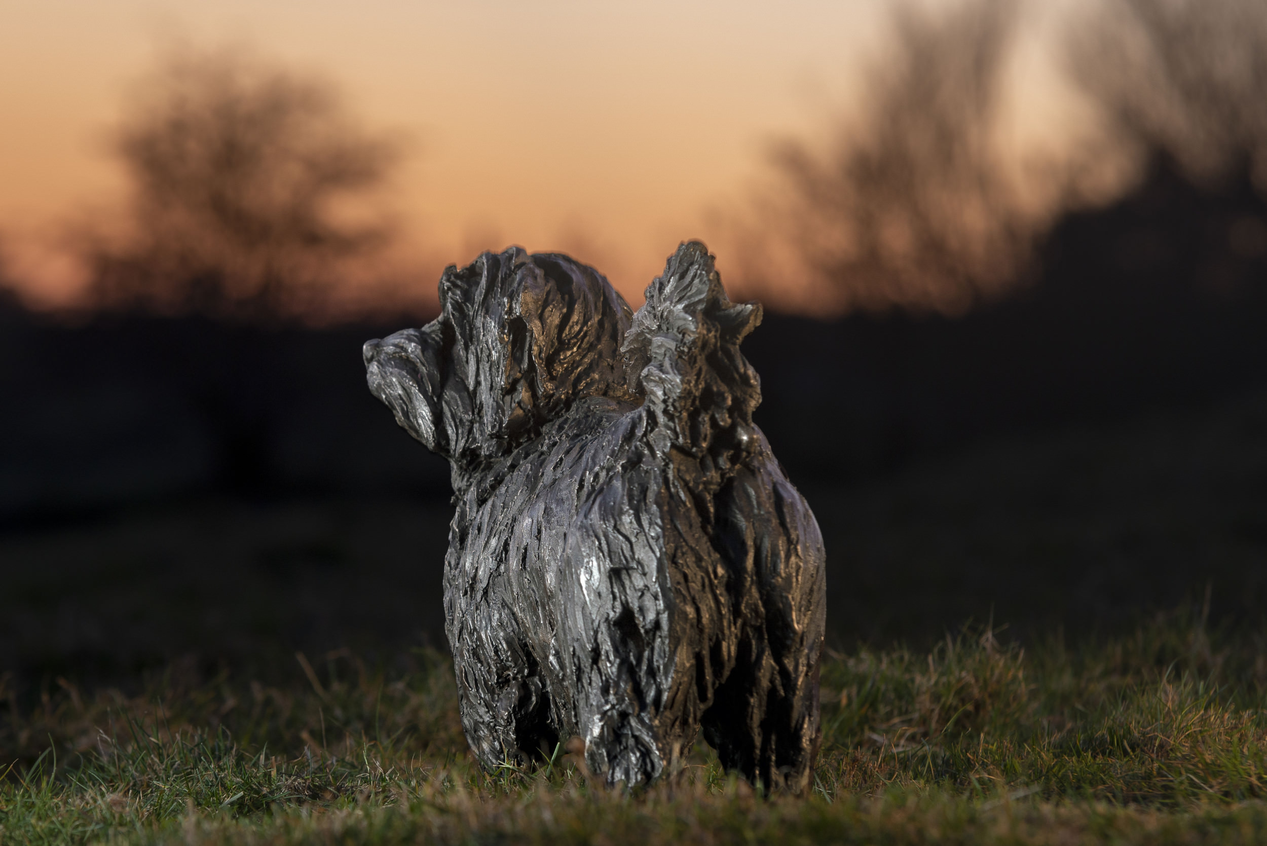 Bronze Norfolk Terrier Sculpture Bronze Norfolk Terrier Statue