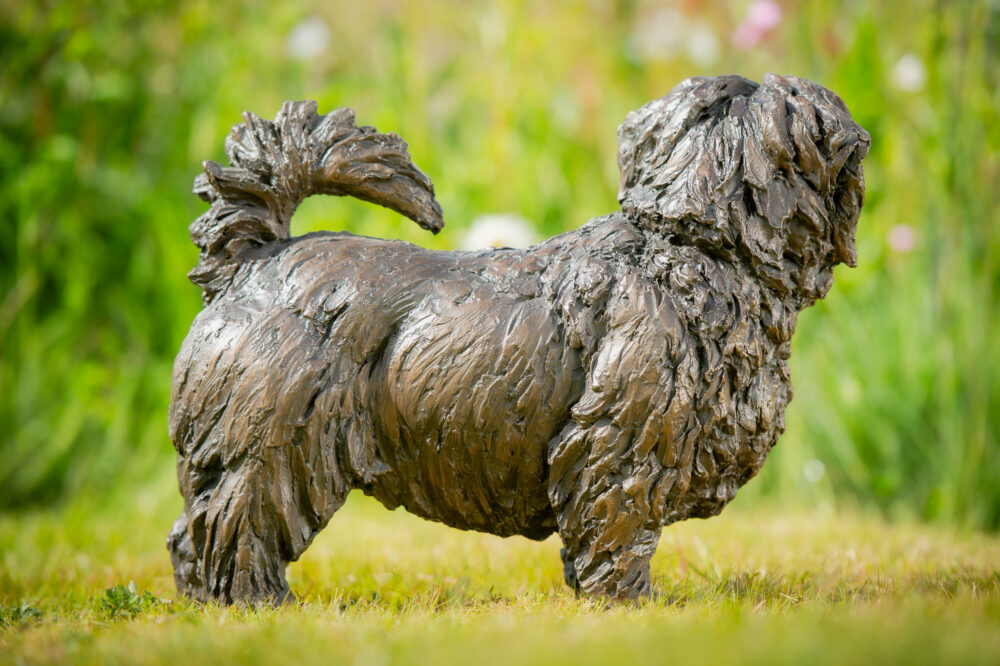 6 'Standing Norfolk Terrier', Dog Sculpture, Dog Statue, Bronze Resin, Tanya Russell Animal Sculptures (11 of 21)