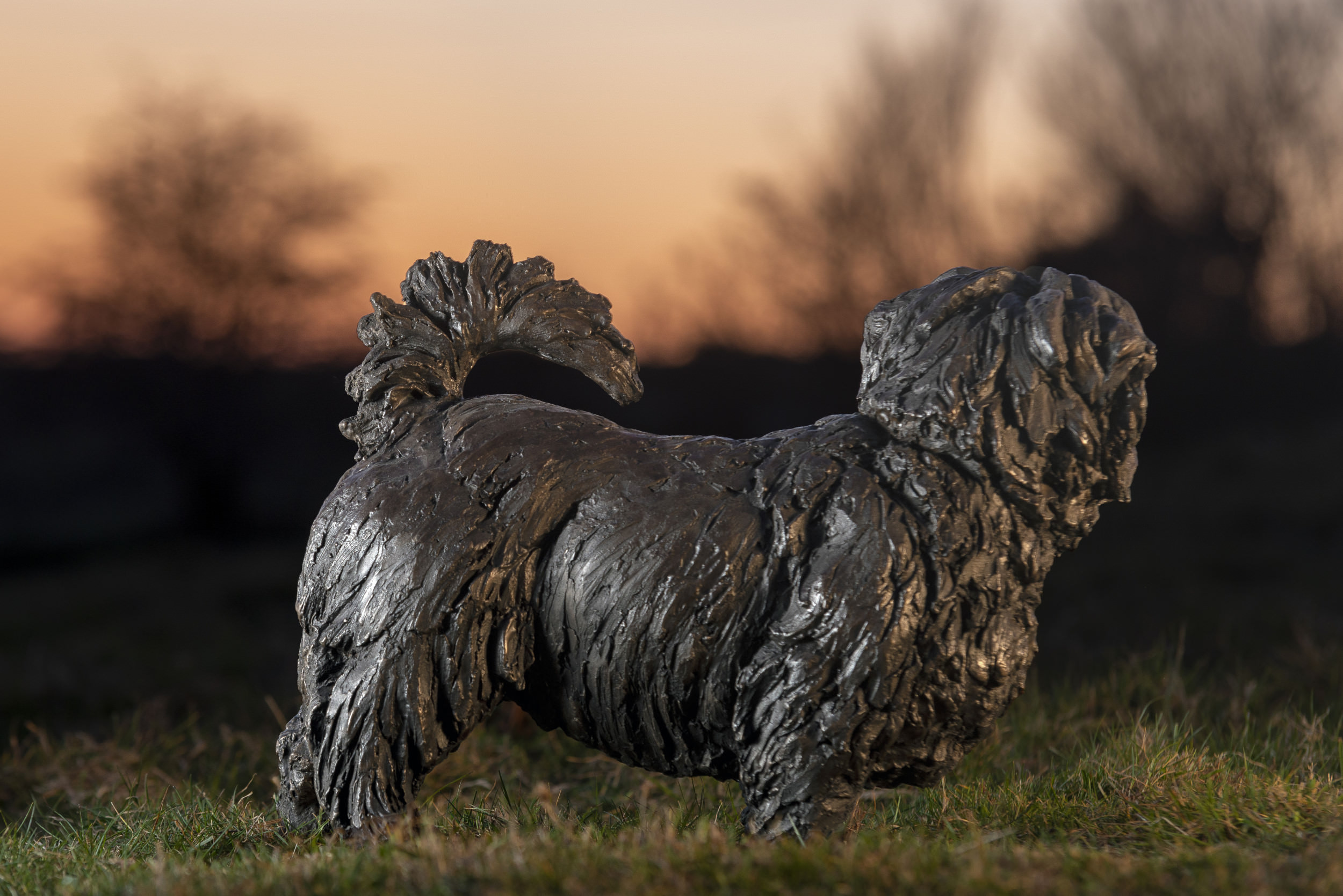 Bronze Norfolk Terrier Sculpture Bronze Norfolk Terrier Statue