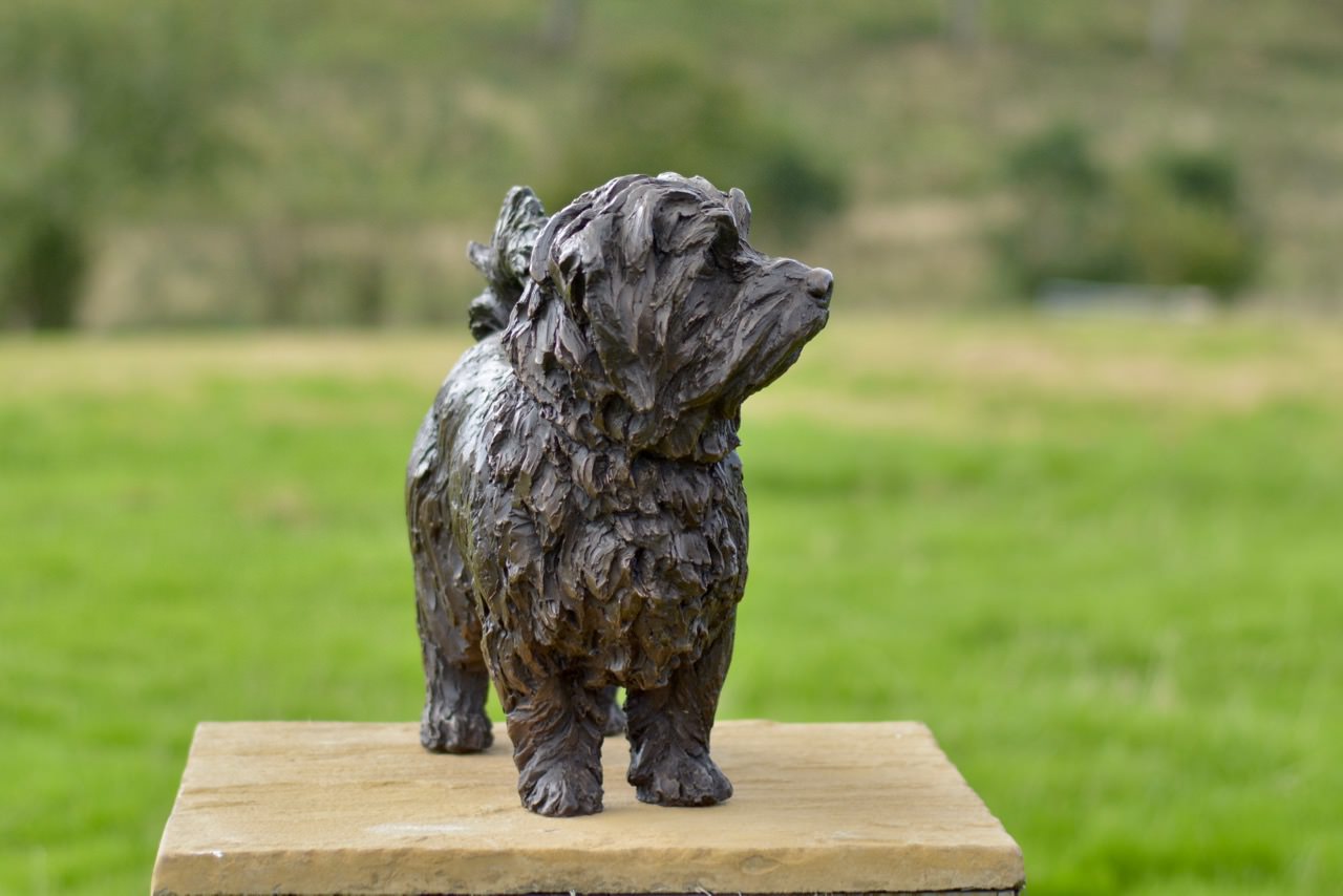 Bronze Standing Norfolk Terrier sculpture by Tanya Russell