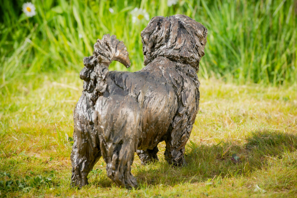 7 'Standing Norfolk Terrier', Dog Sculpture, Dog Statue, Bronze Resin, Tanya Russell Animal Sculptures (12 of 21)