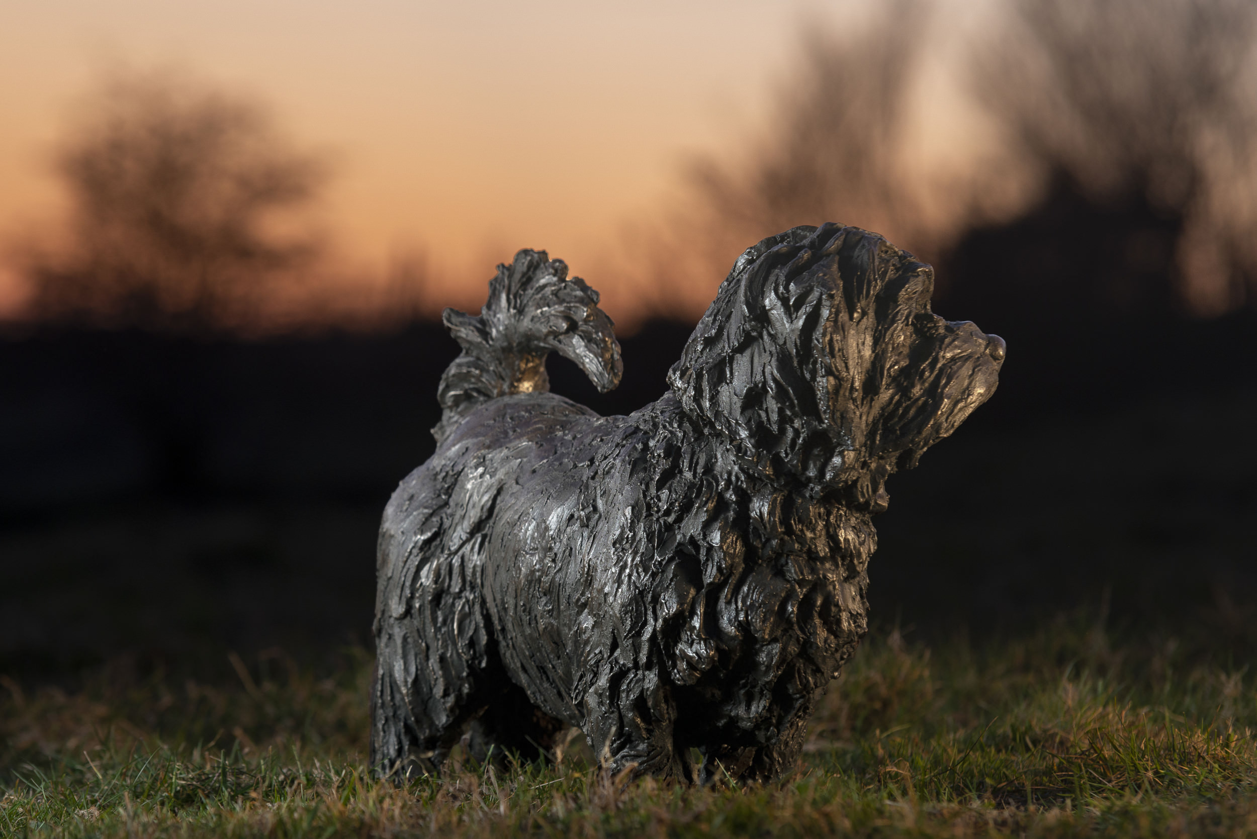 Bronze Norfolk Terrier Sculpture Bronze Norfolk Terrier Statue