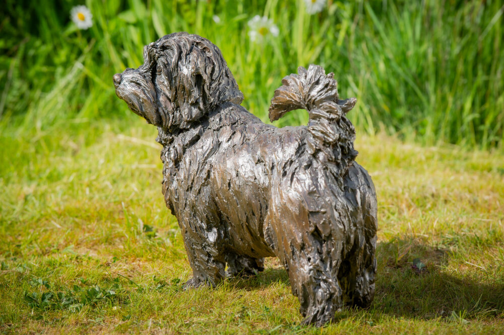 8 'Standing Norfolk Terrier', Dog Sculpture, Dog Statue, Bronze Resin, Tanya Russell Animal Sculptures (15 of 21)