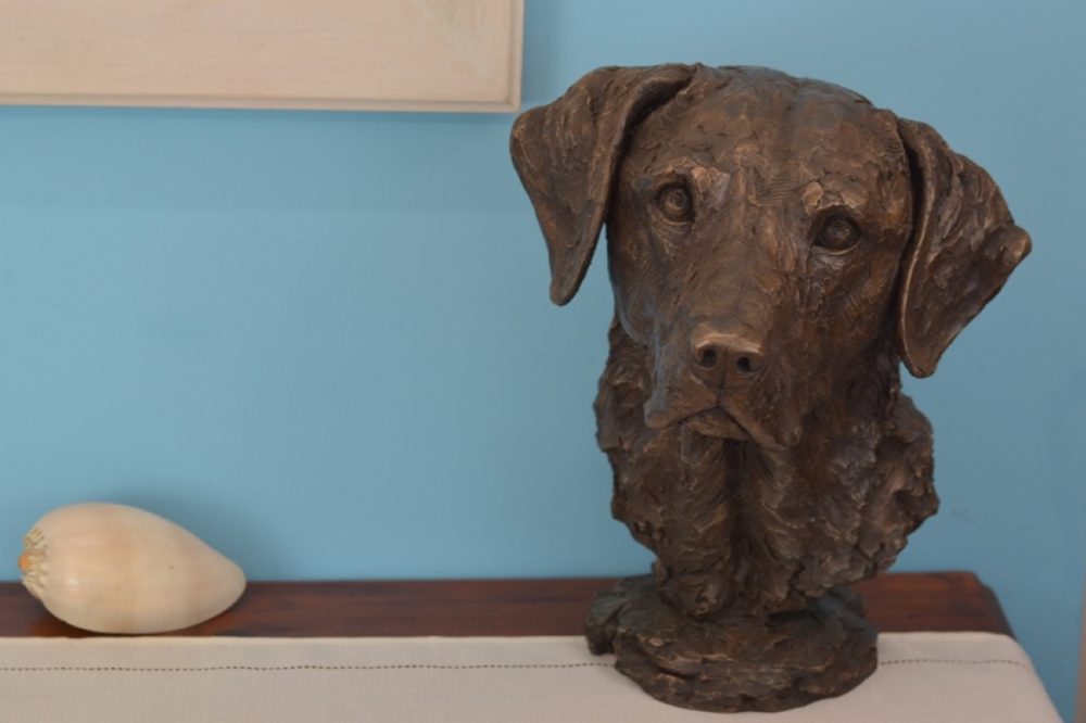 Tess Labrador - set shots