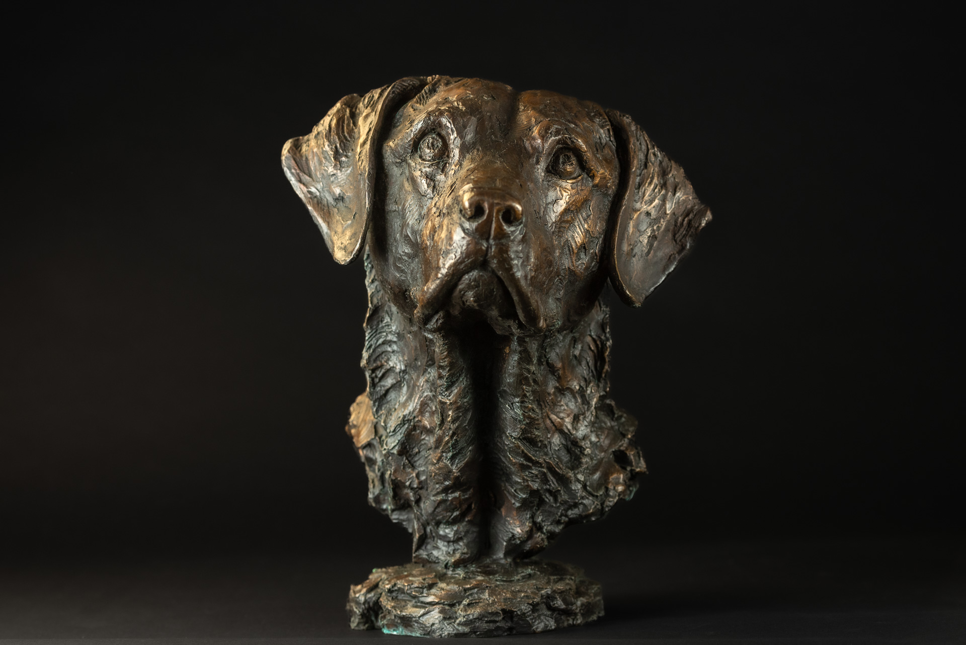 Vizsla sculpture right side view