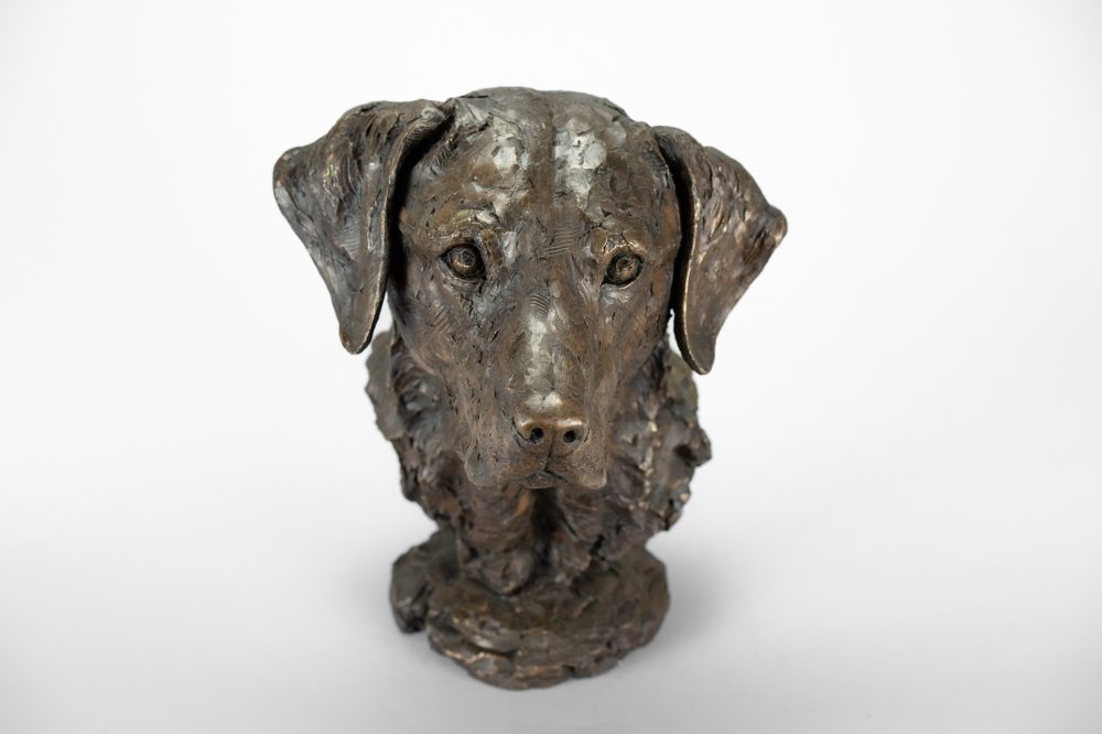 2'Labrador Portrait 4 Tess', Dog Sculpture, Bronze Dog, Bronze Resin, Tanya Russell Animal Sculptures-10