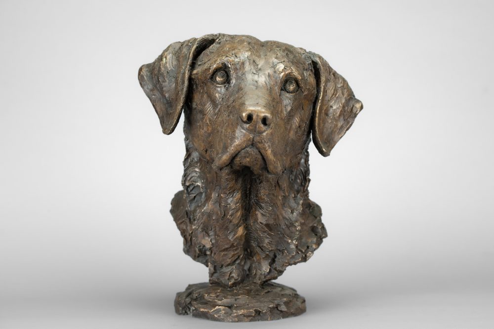 3 'Labrador Portrait 4 Tess', Dog Sculpture, Bronze Dog, Bronze Resin, Tanya Russell Animal Sculptures-1